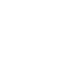 Incorporation Services